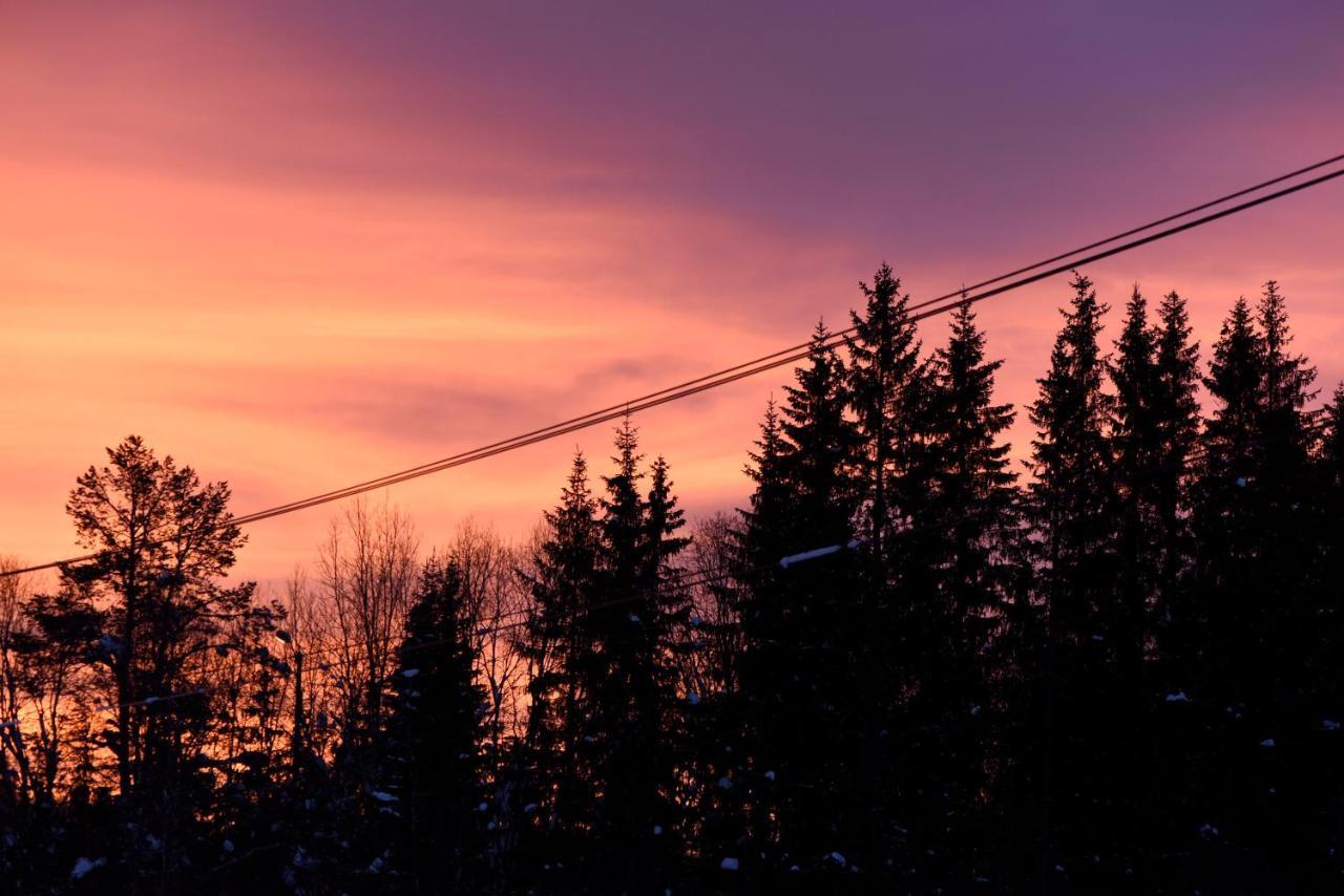 Fresh Familie Hytte Hemsedal Zewnętrze zdjęcie