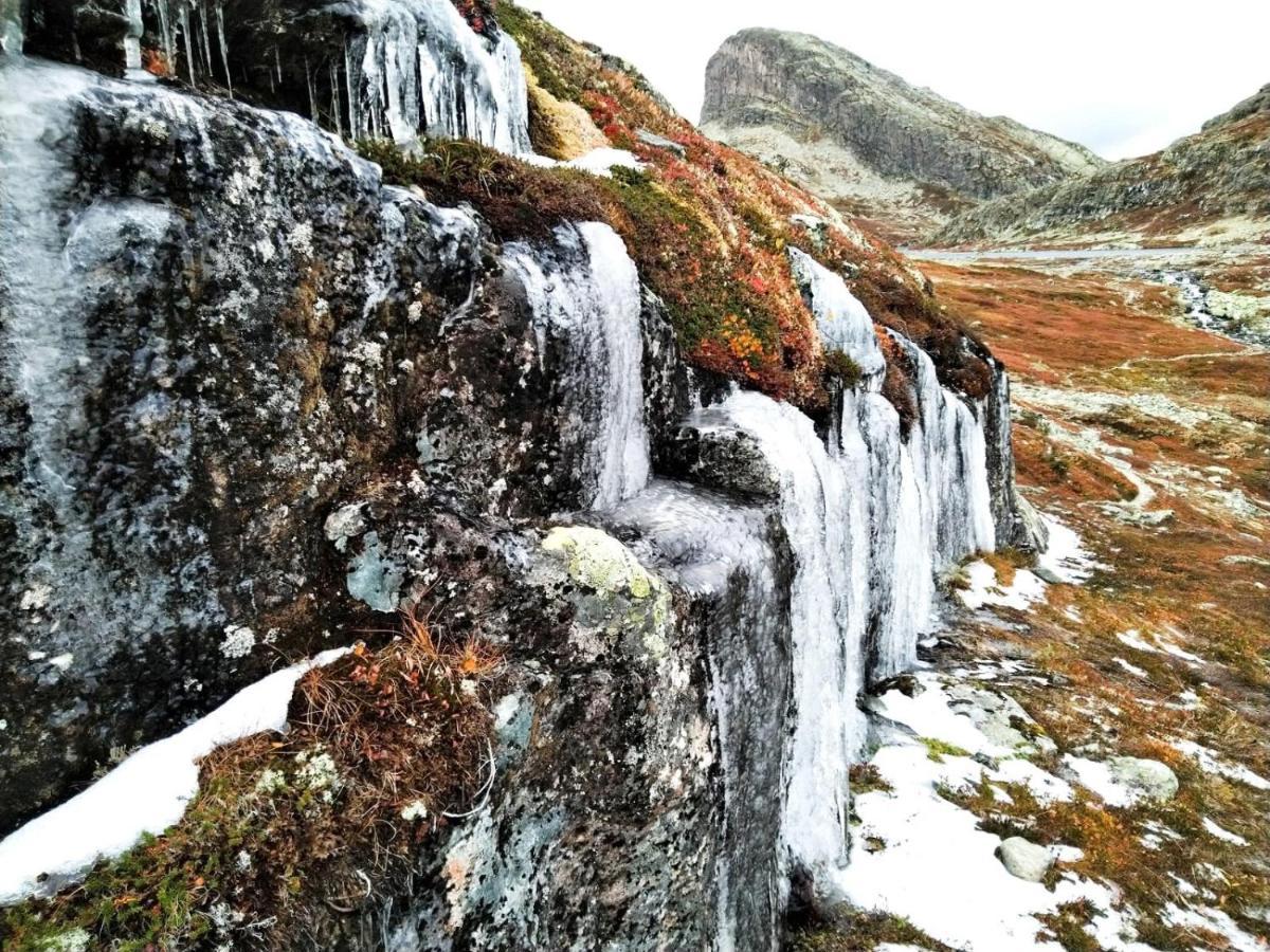 Fresh Familie Hytte Hemsedal Zewnętrze zdjęcie